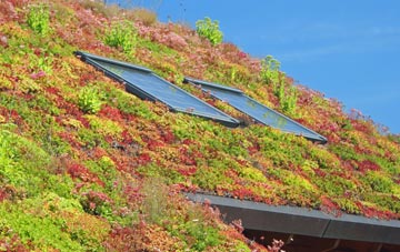 Papcastle living roof systems